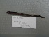  ( - UW151153)  @12 [ ] Unspecified (default): All Rights Reserved  Unspecified Unspecified