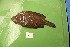  ( - UW158212)  @11 [ ] Unspecified (default): All Rights Reserved  Unspecified Unspecified