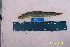  ( - PC8-09)  @12 [ ] No Rights Reserved (2011) Unspecified Institute of Marine Biology, Vladivostok