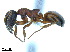  ( - BL-10540X-A01)  @11 [ ] CreativeCommons - Attribution Non-Commercial Share-Alike (2014) Alex Smith University of Guelph