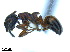 ( - BL-10540X-E03)  @11 [ ] CreativeCommons - Attribution Non-Commercial Share-Alike (2014) Alex Smith University of Guelph