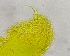 ( - FPBP0176)  @11 [ ] Unspecified (default): All Rights Reserved  Unspecified Unspecified