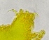 ( - FPBP0177)  @11 [ ] Unspecified (default): All Rights Reserved  Unspecified Unspecified