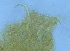  ( - FPBP0178)  @11 [ ] Unspecified (default): All Rights Reserved  Unspecified Unspecified