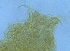  ( - FPBP0178)  @11 [ ] Unspecified (default): All Rights Reserved  Unspecified Unspecified