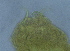  ( - FPBP0044)  @11 [ ] Unspecified (default): All Rights Reserved  Unspecified Unspecified