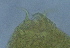  ( - FPBP0044)  @11 [ ] Unspecified (default): All Rights Reserved  Unspecified Unspecified