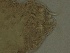  ( - FPBP0040)  @11 [ ] Unspecified (default): All Rights Reserved  Unspecified Unspecified