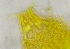  ( - FPBP0174)  @11 [ ] Unspecified (default): All Rights Reserved  Unspecified Unspecified