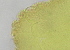  ( - FPBP0857)  @11 [ ] Unspecified (default): All Rights Reserved  Unspecified Unspecified