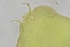  ( - FPBP0858)  @11 [ ] Unspecified (default): All Rights Reserved  Unspecified Unspecified