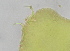  ( - FPBP0858)  @11 [ ] Unspecified (default): All Rights Reserved  Unspecified Unspecified