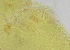  ( - FPBP0868)  @11 [ ] Unspecified (default): All Rights Reserved  Unspecified Unspecified