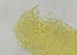  ( - FPBP0870)  @11 [ ] Unspecified (default): All Rights Reserved  Unspecified Unspecified