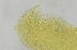  ( - FPBP0870)  @11 [ ] Unspecified (default): All Rights Reserved  Unspecified Unspecified