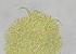  ( - FPBP0865)  @11 [ ] Unspecified (default): All Rights Reserved  Unspecified Unspecified