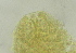  ( - FPBP0866)  @11 [ ] Unspecified (default): All Rights Reserved  Unspecified Unspecified