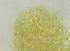  ( - FPBP0866)  @11 [ ] Unspecified (default): All Rights Reserved  Unspecified Unspecified