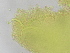  ( - FPBP0867)  @11 [ ] Unspecified (default): All Rights Reserved  Unspecified Unspecified