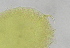  ( - FPBP0878)  @11 [ ] Unspecified (default): All Rights Reserved  Unspecified Unspecified