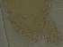  ( - FPBP0040)  @11 [ ] Unspecified (default): All Rights Reserved  Unspecified Unspecified
