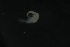  ( - FLMOO_1077)  @12 [ ] No Rights Reserved  Unspecified Unspecified