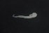  ( - FLMOO_1086)  @12 [ ] No Rights Reserved  Unspecified Unspecified