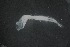  ( - FLMOO_1099)  @12 [ ] No Rights Reserved  Unspecified Unspecified