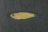  ( - FLMOO_1281)  @12 [ ] No Rights Reserved  Unspecified Unspecified