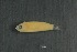  ( - FLMOO_1282)  @13 [ ] No Rights Reserved  Unspecified Unspecified