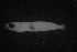  ( - FLMOO_1377)  @12 [ ] No Rights Reserved  Unspecified Unspecified