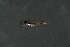  ( - FLMOO_267)  @12 [ ] No Rights Reserved  Unspecified Unspecified