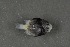  ( - FLMOO_355)  @12 [ ] No Rights Reserved  Unspecified Unspecified