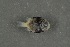  ( - FLMOO_485)  @12 [ ] No Rights Reserved  Unspecified Unspecified