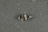  ( - FLMOO_536)  @12 [ ] No Rights Reserved  Unspecified Unspecified