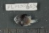  ( - FLMOO_665)  @12 [ ] No Rights Reserved  Unspecified Unspecified