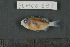  ( - FLMOO_698)  @12 [ ] No Rights Reserved  Unspecified Unspecified