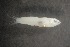  ( - FLMOO_101)  @12 [ ] No Rights Reserved  Unspecified Unspecified