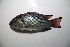  ( - MOP01)  @14 [ ] CreativeCommons - Attribution Non-Commercial Share-Alike (2014) Unspecified National Fisheries Research and Development Institute, Philippines