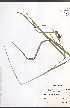  ( - JRM102)  @11 [ ] CreativeCommons - Attribution  Unspecified Centre for Biodiversity Genomics