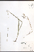  ( - JRM104)  @11 [ ] CreativeCommons - Attribution  Unspecified Centre for Biodiversity Genomics