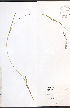  ( - JRM124)  @11 [ ] CreativeCommons - Attribution  Unspecified Centre for Biodiversity Genomics