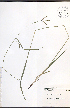  ( - JRM145)  @11 [ ] CreativeCommons - Attribution  Unspecified Centre for Biodiversity Genomics