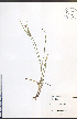 ( - JRM161)  @11 [ ] CreativeCommons - Attribution  Unspecified Centre for Biodiversity Genomics