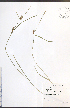  ( - JRM172)  @11 [ ] CreativeCommons - Attribution  Unspecified Centre for Biodiversity Genomics