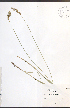 ( - JRM179)  @11 [ ] CreativeCommons - Attribution  Unspecified Centre for Biodiversity Genomics