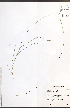  ( - JRM203)  @11 [ ] CreativeCommons - Attribution  Unspecified Centre for Biodiversity Genomics
