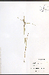  ( - JRM250)  @11 [ ] CreativeCommons - Attribution  Unspecified Centre for Biodiversity Genomics