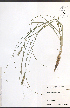  ( - JRM260)  @11 [ ] CreativeCommons - Attribution  Unspecified Centre for Biodiversity Genomics