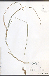  ( - JRM279)  @11 [ ] CreativeCommons - Attribution  Unspecified Centre for Biodiversity Genomics